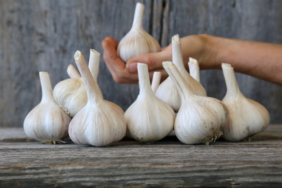 2 pounds garlic *SOLD OUT FOR 2023*